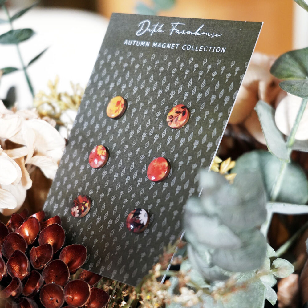 Autumn earrings Studs Orange Set