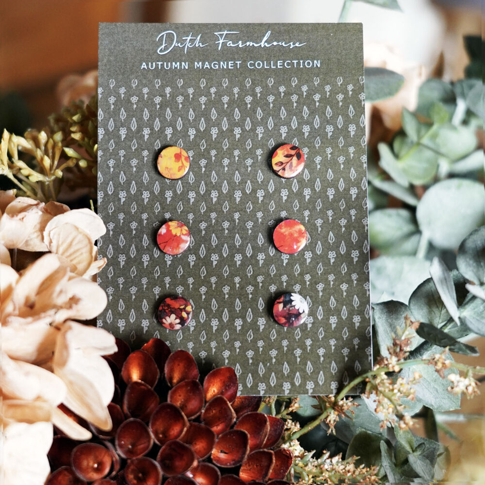 Autumn earrings Studs Orange Set