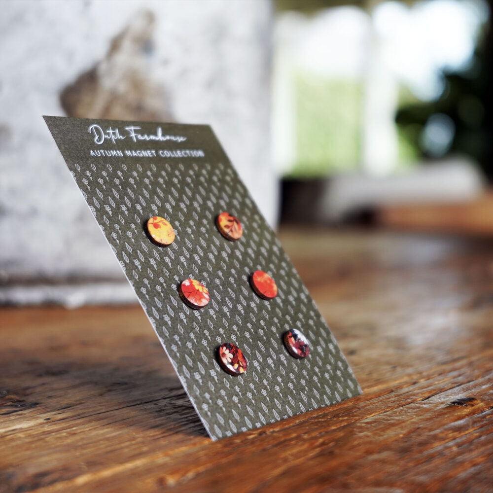 Autumn earrings Studs Orange Set