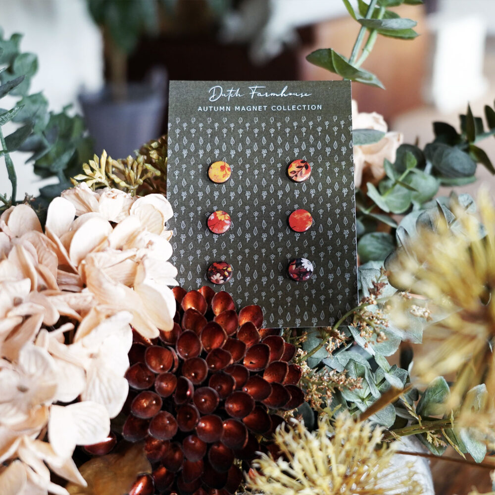 Autumn earrings Studs Orange Set