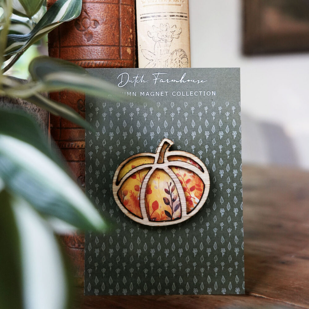 Pumpkin magnet